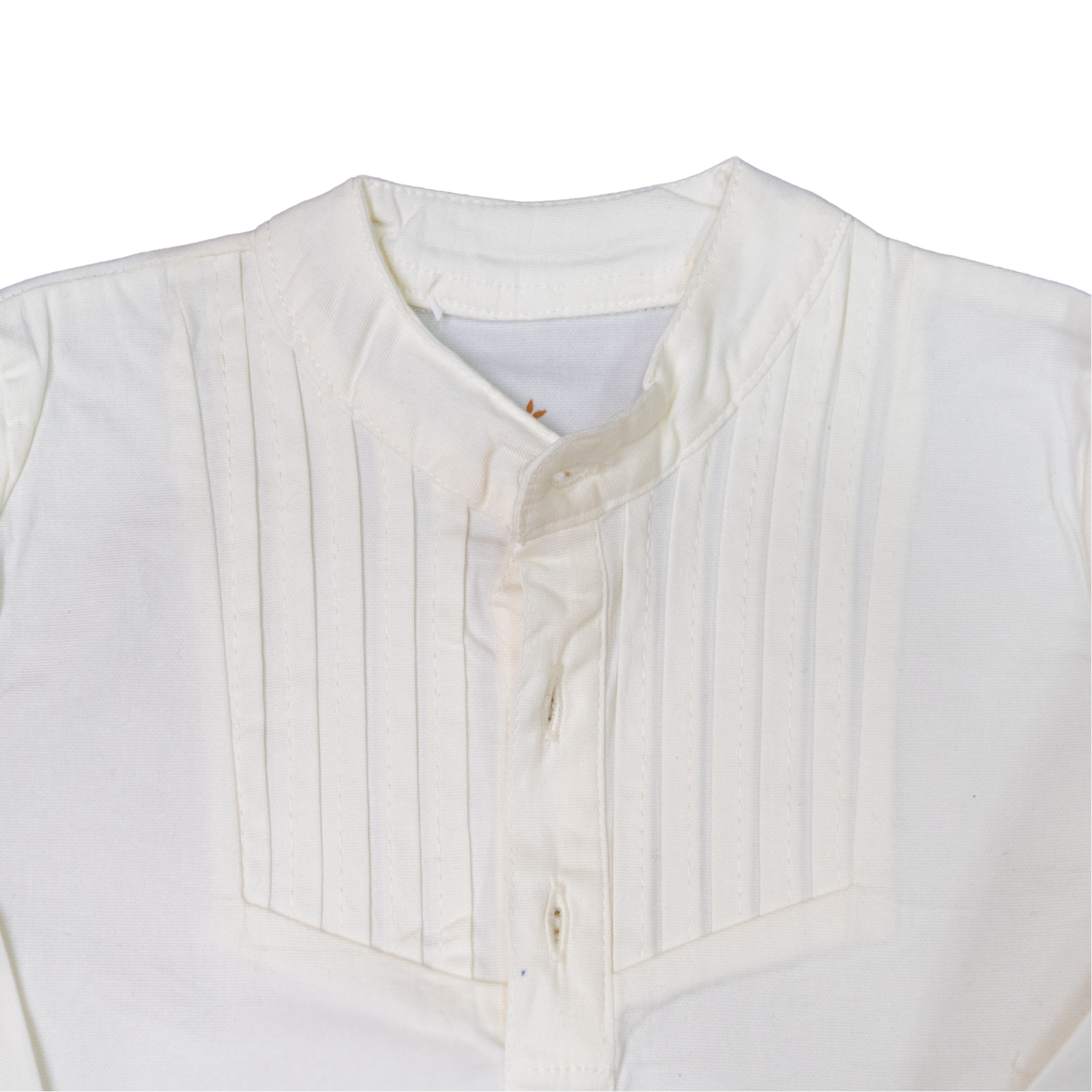 Pleated Long Sleeve Shirt